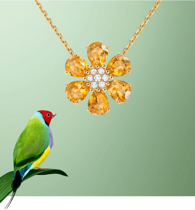 Van Cleef & Arpels